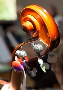 Cello